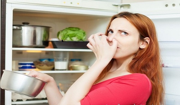 Tại sao tủ lạnh lại có mùi hôi?