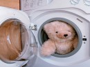 Làm sạch thú nhồi bông bằng máy giặt